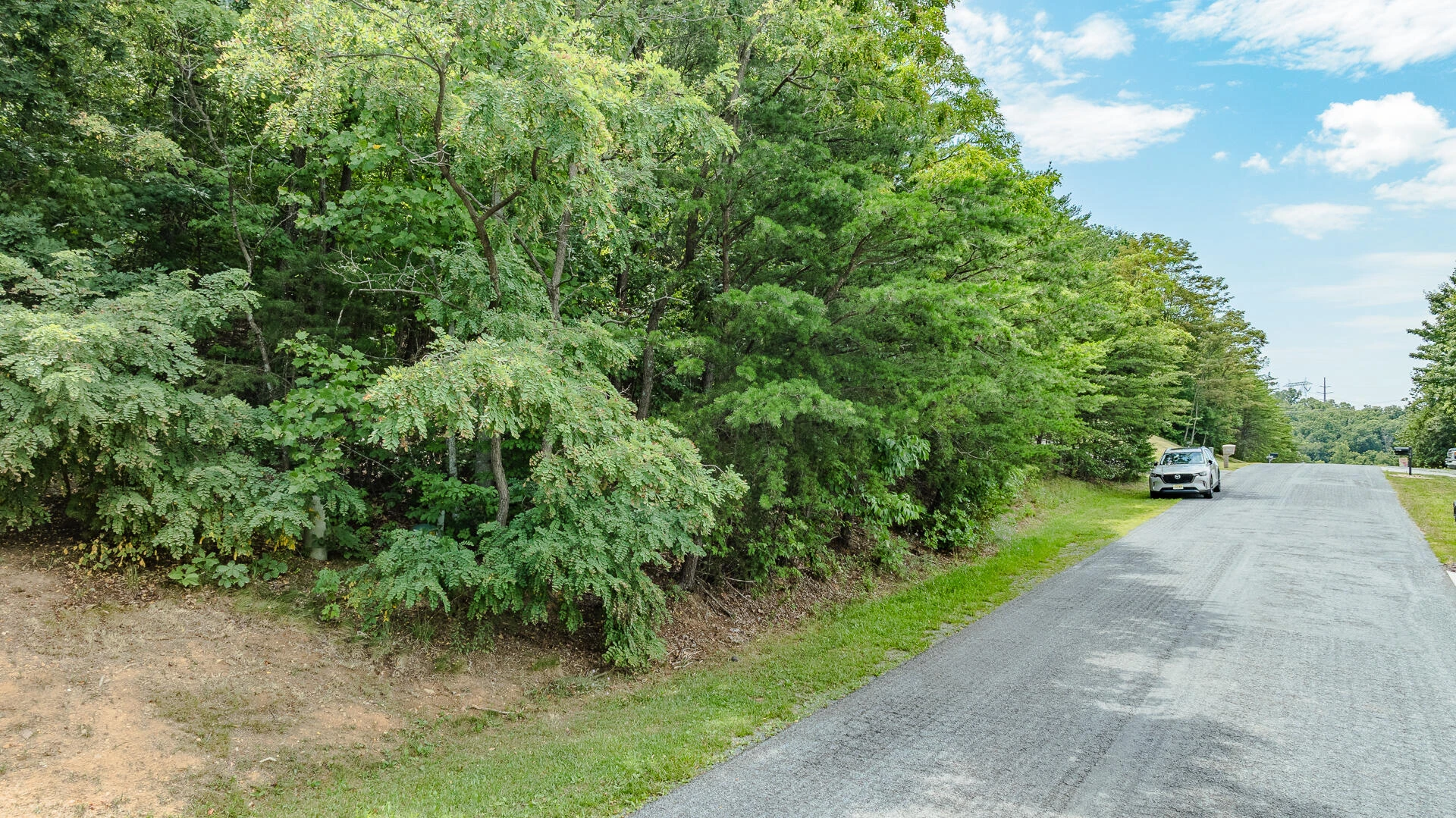 Lot 14 Autumnwood LN - Photo 4