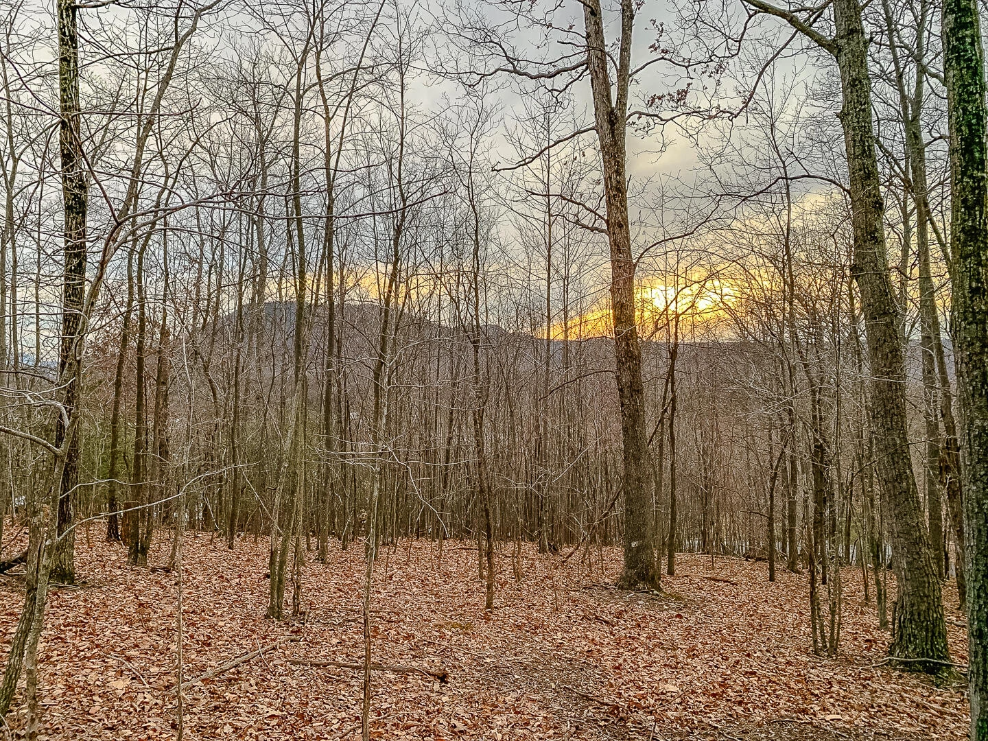 Lot 14 Autumnwood LN - Photo 5