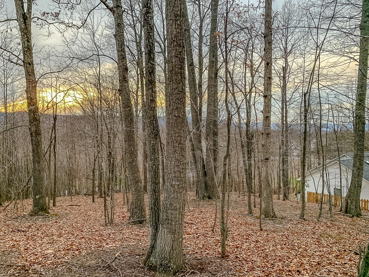 Lot 14 Autumnwood LN - Photo 7