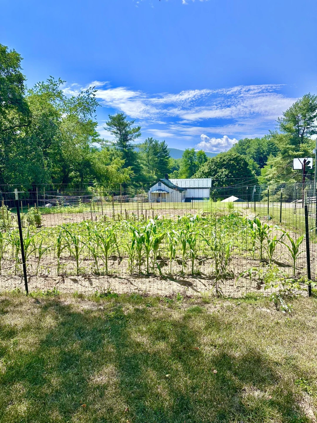 24 Tunnel Hill RD - Photo 12