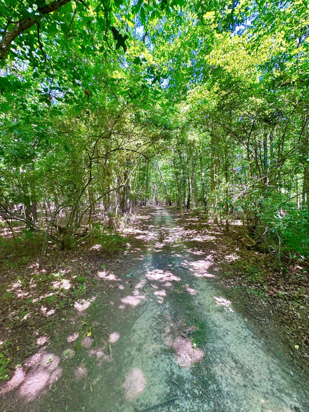 24 Tunnel Hill RD - Photo 14