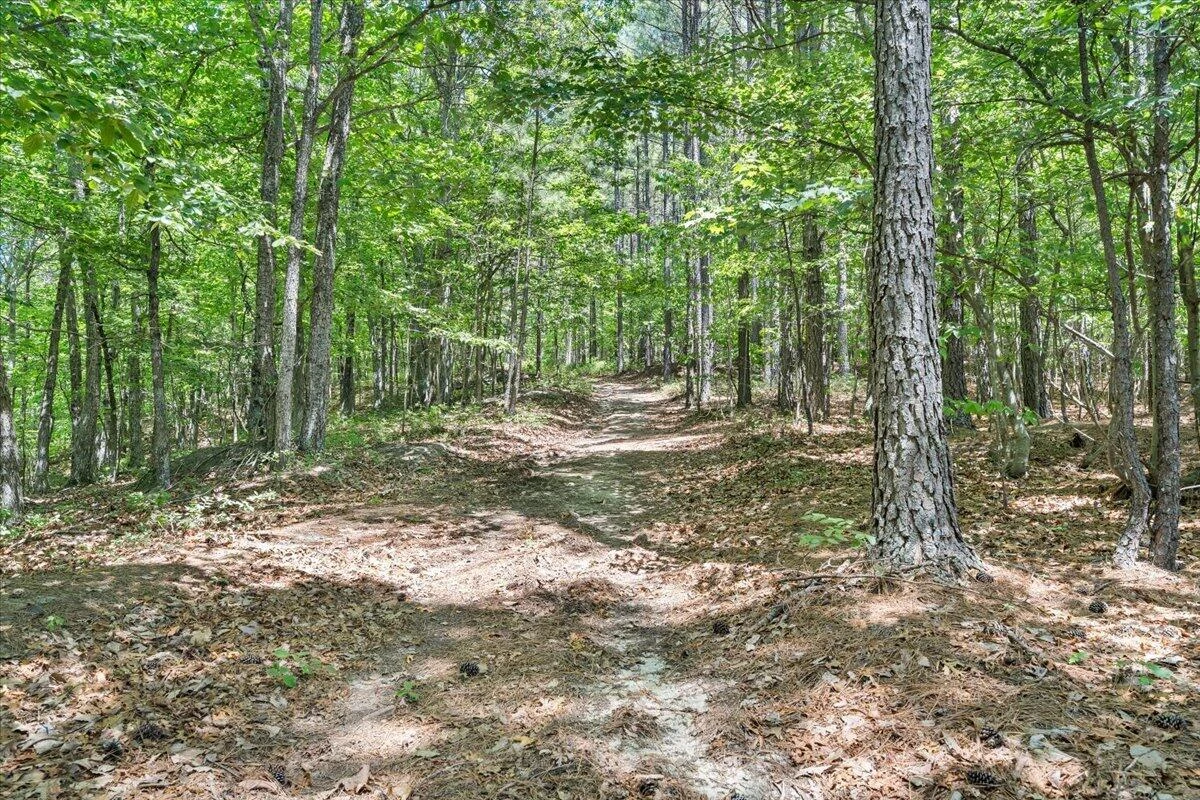 890 Blain RD - Photo 97