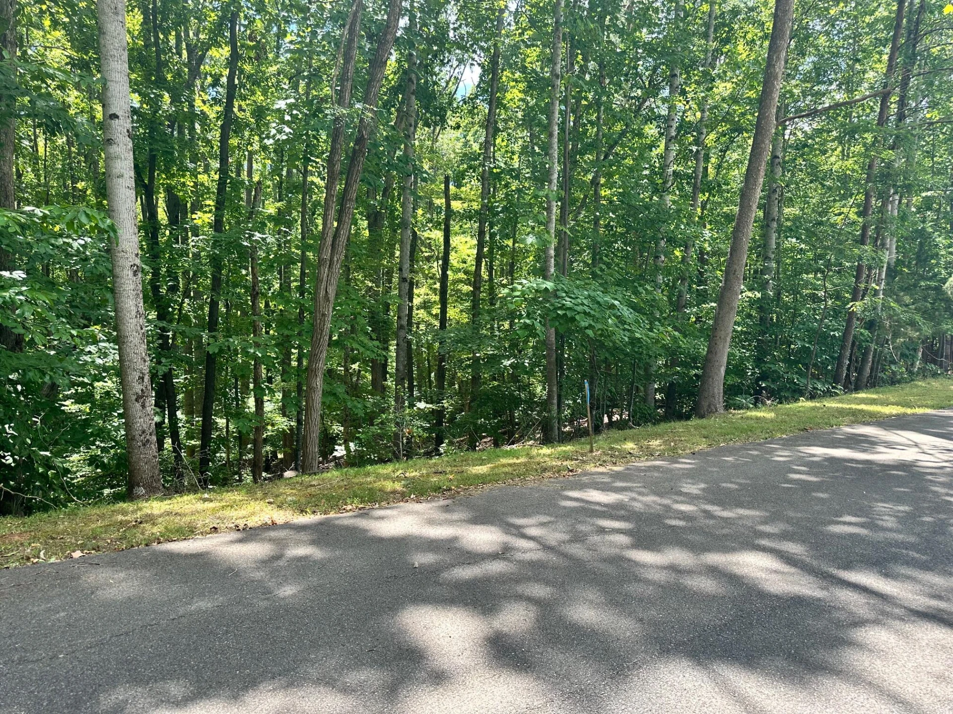 Lot 65 Ridgeway CT - Photo 3