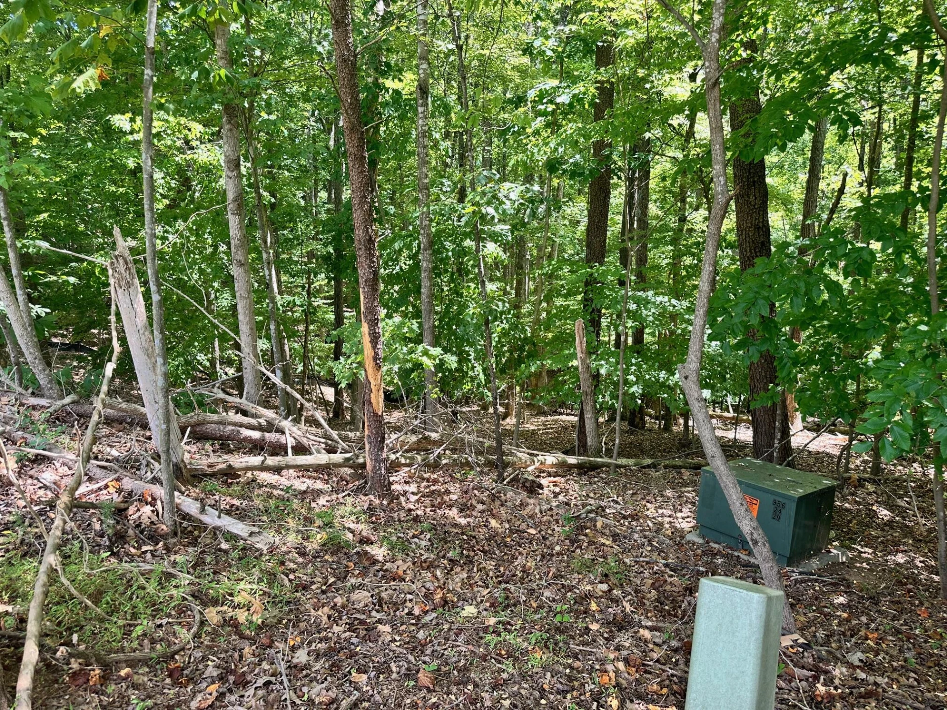 Lot 65 Ridgeway CT - Photo 5