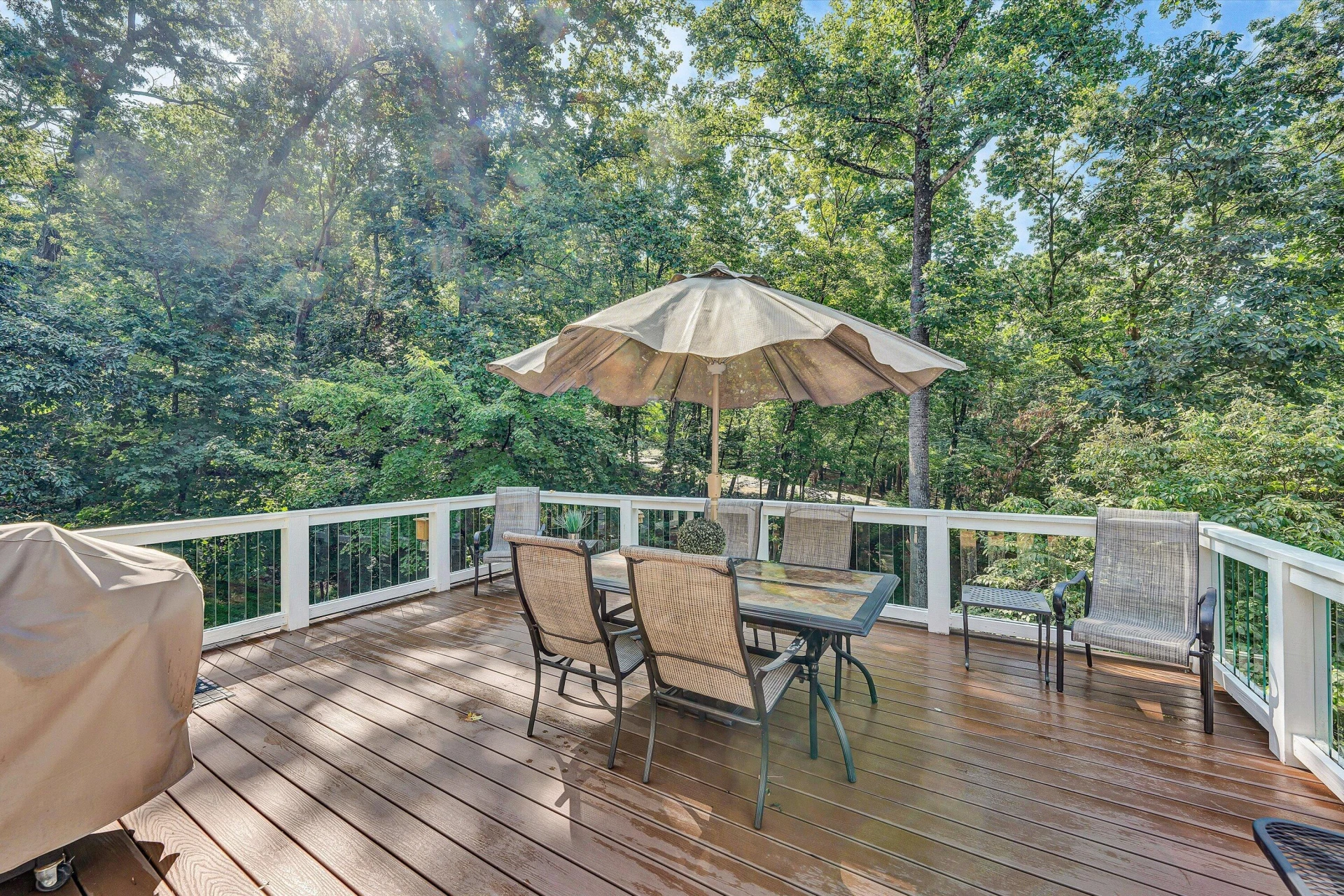 5350 Black Bear LN - Photo 24