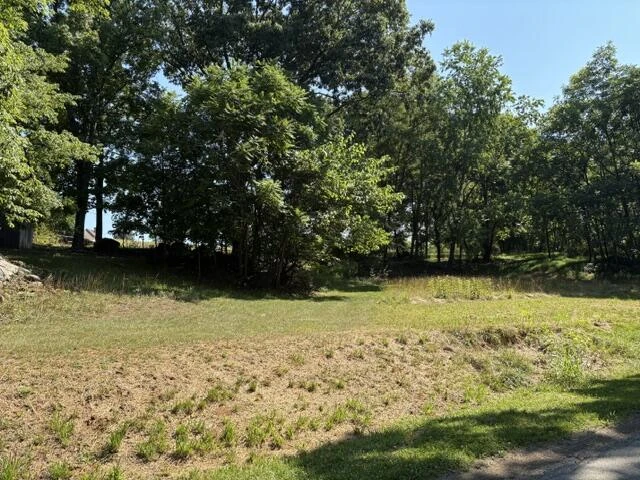 1135 Taylor Mountain RD - Photo 6