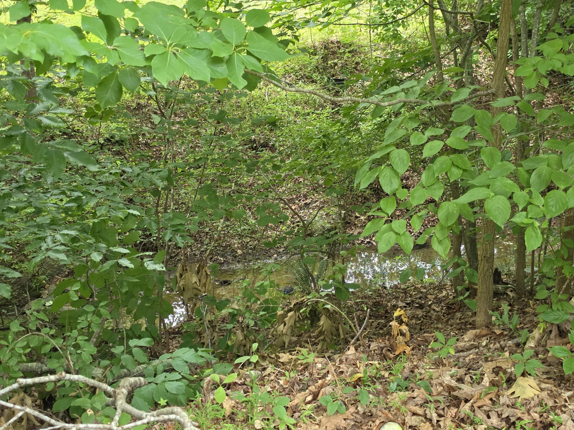 897 Southland DR - Photo 22