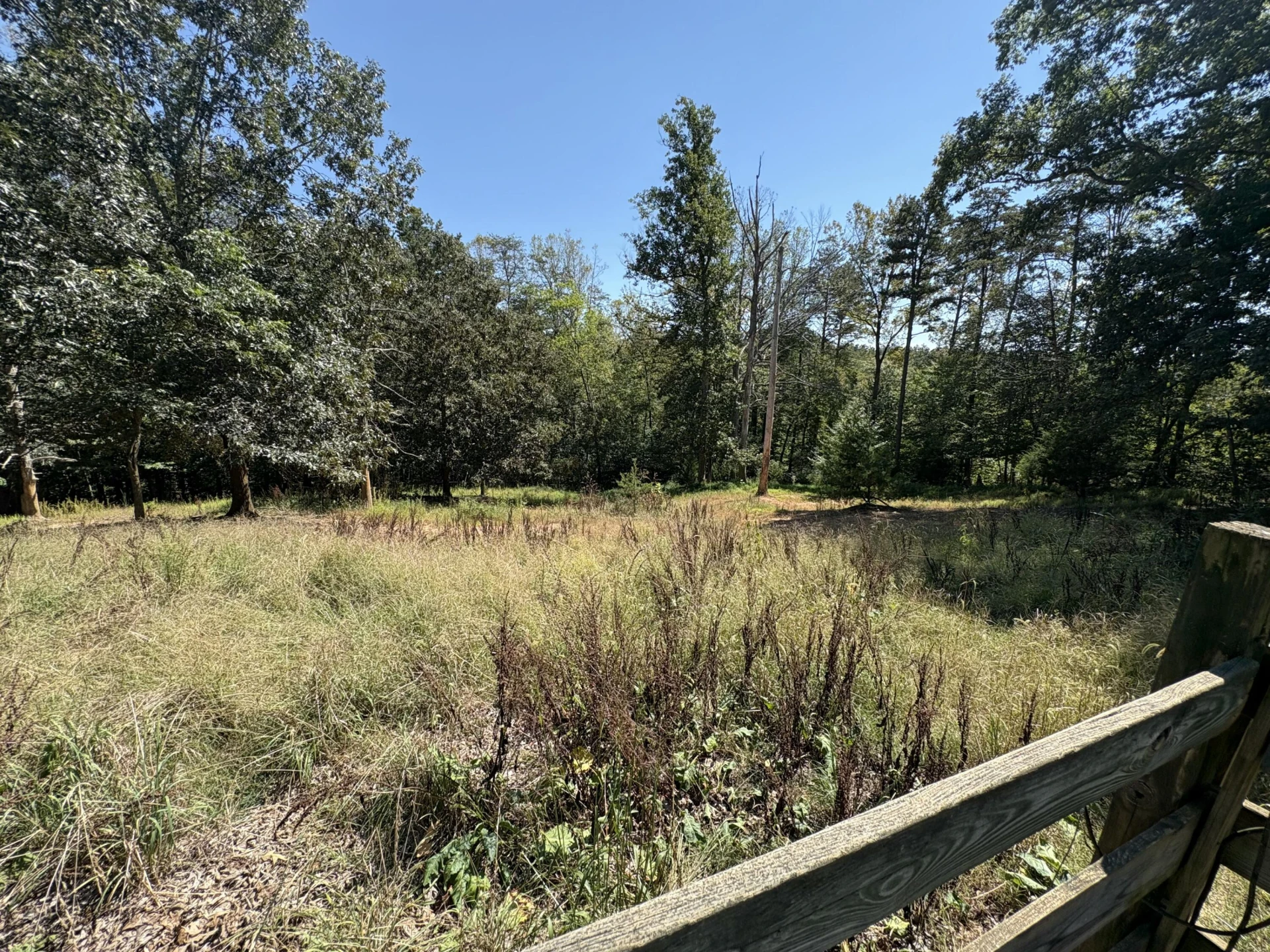 1148 Huddle Hills - Photo 44