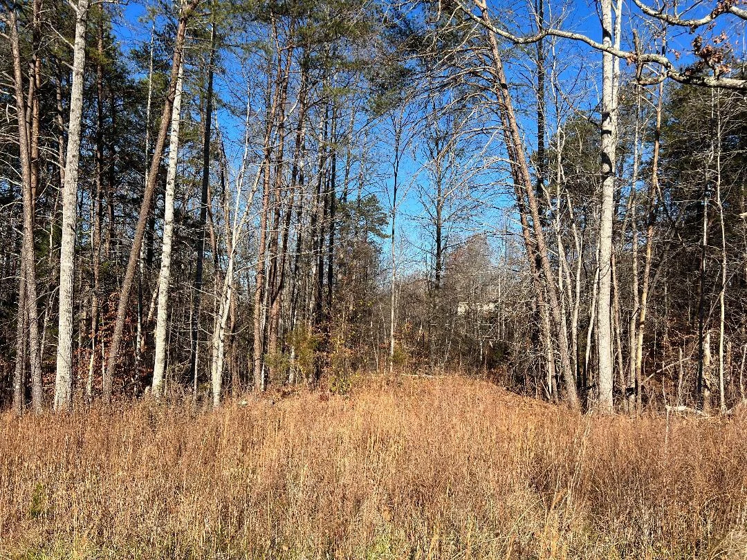 Lot 10 Barrett RD