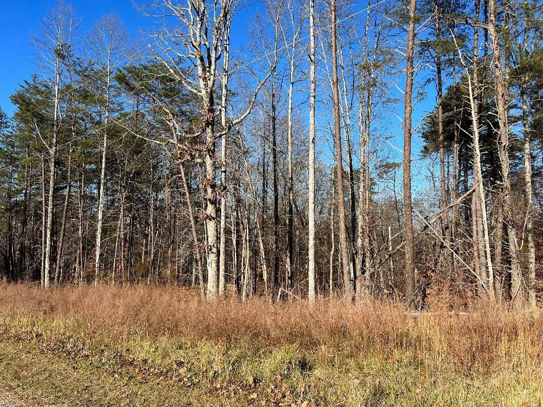 Lot 10 Barrett RD - Photo 2