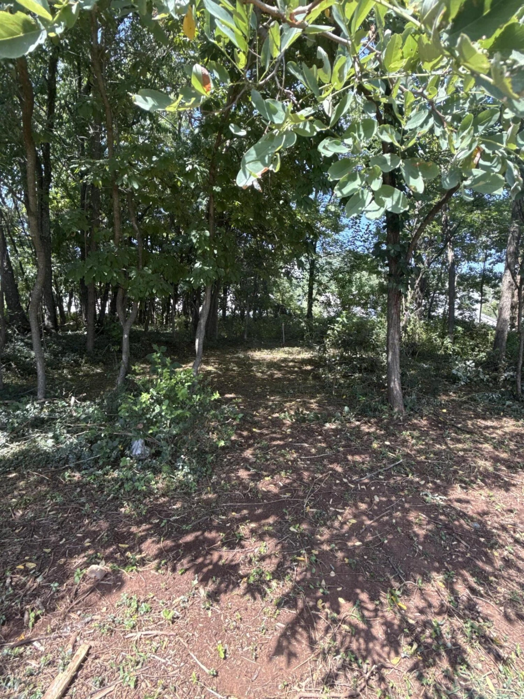 2023 Heys LN - Photo 59