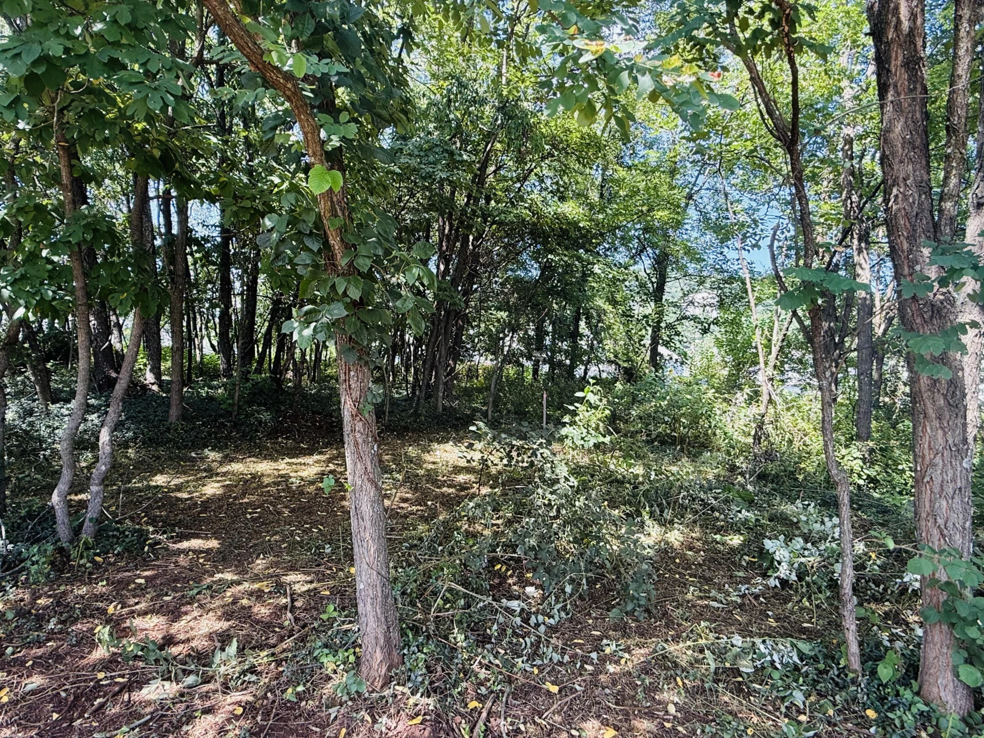 2023 Heys LN - Photo 61