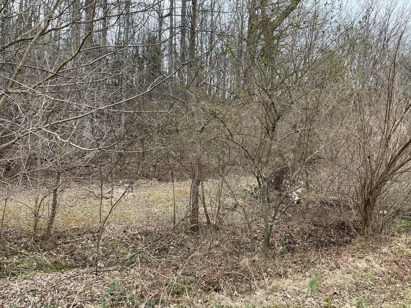 0 Lee HWY - Photo 2