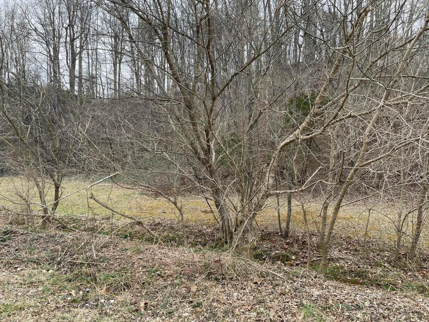 0 Lee HWY - Photo 3