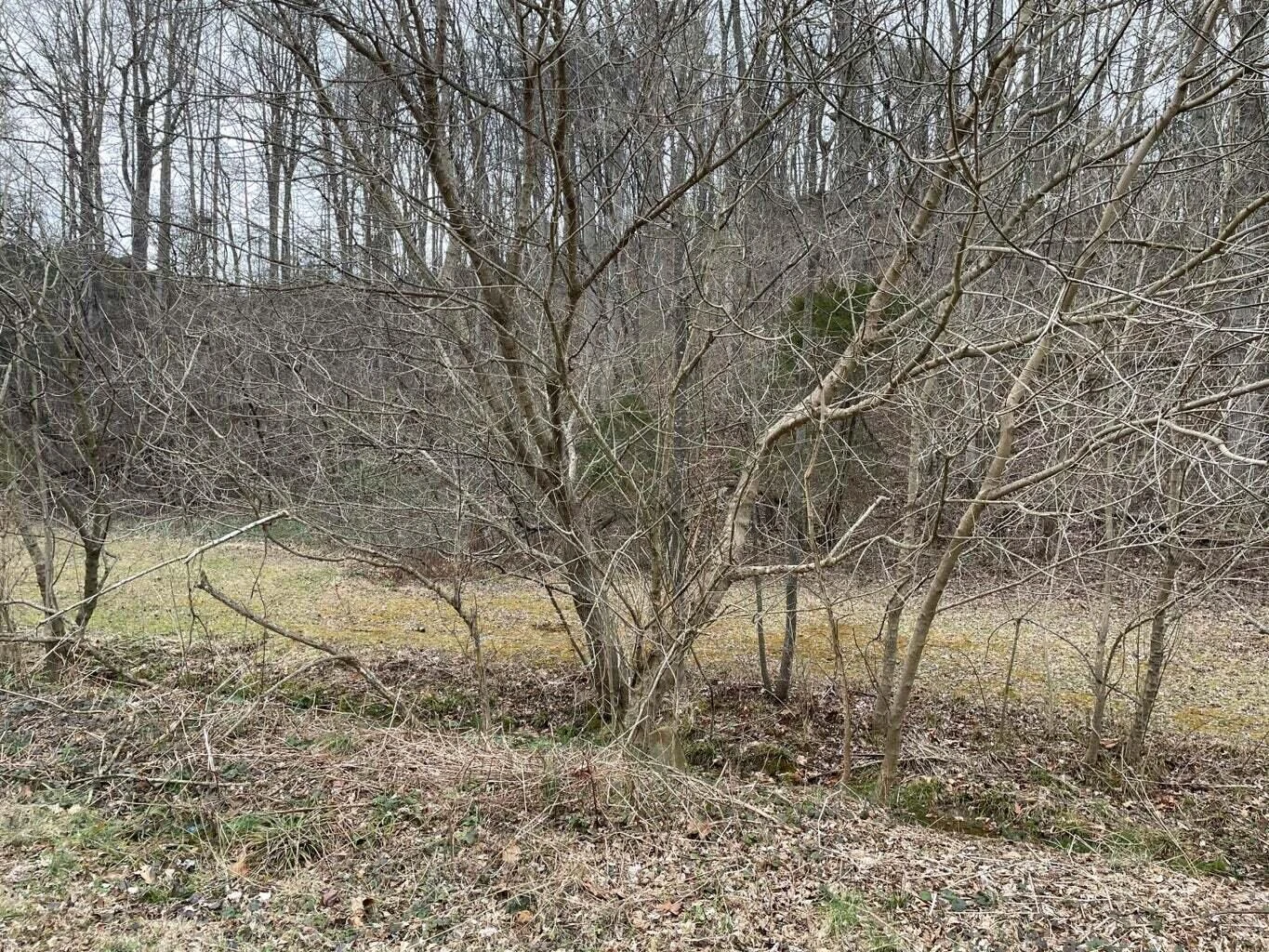 0 Lee HWY - Photo 4