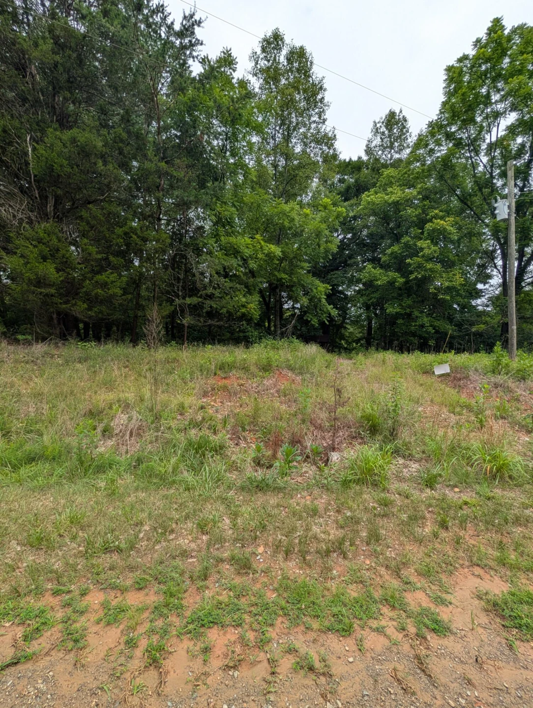 Lot 55 Blazing Ridge DR - Photo 3