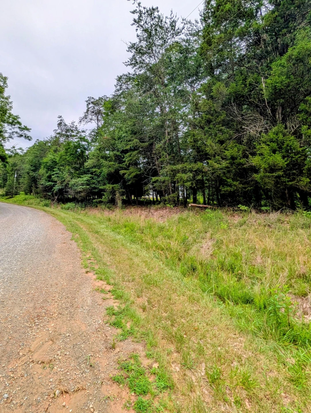 Lot 55 Blazing Ridge DR - Photo 4
