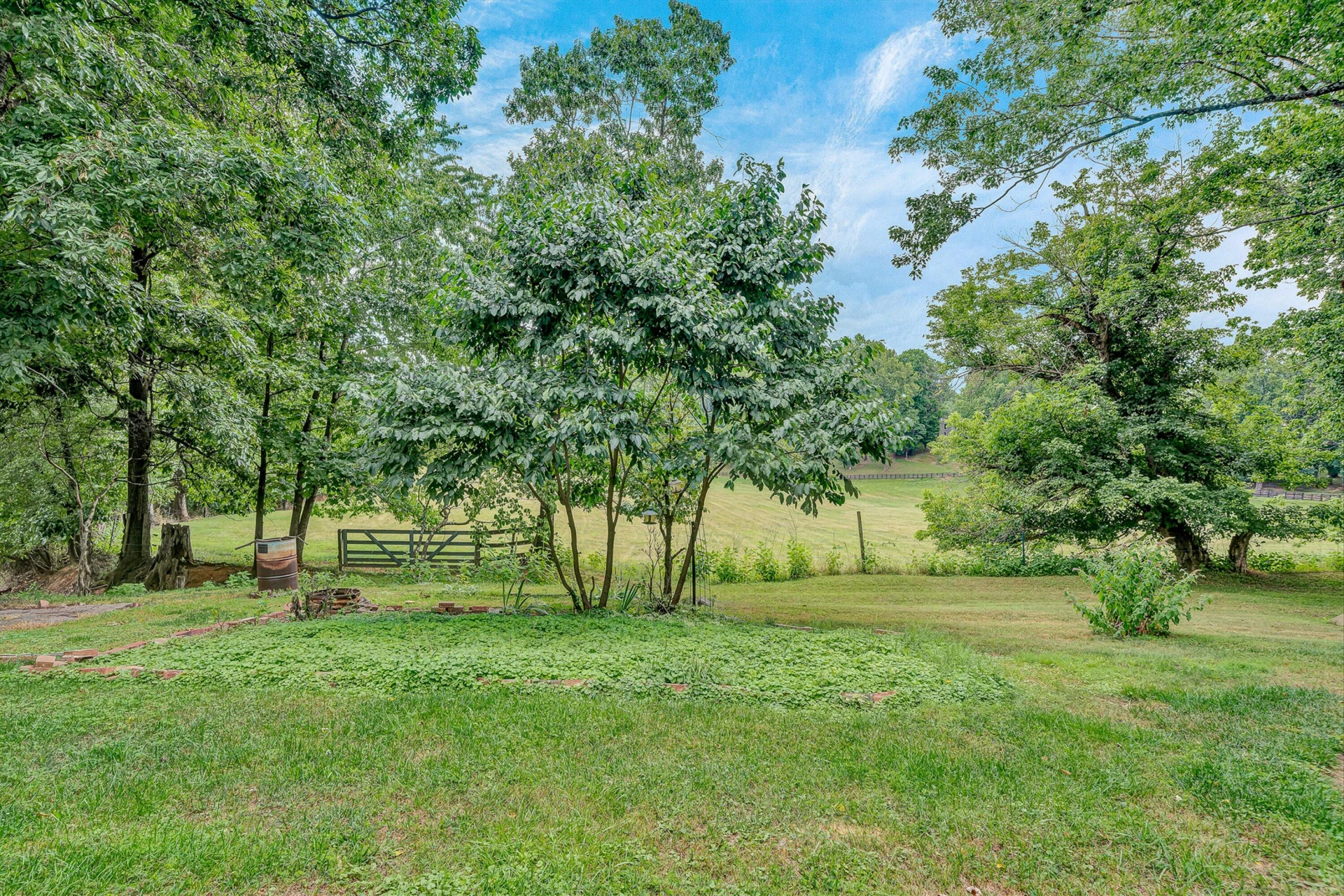 6313 Christie LN - Photo 47