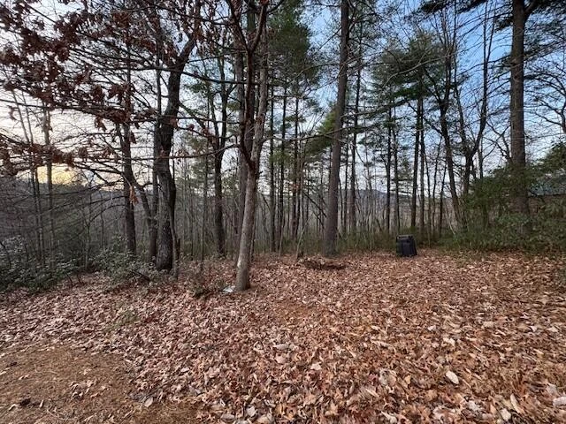 117 Wind Chase TRL - Photo 42