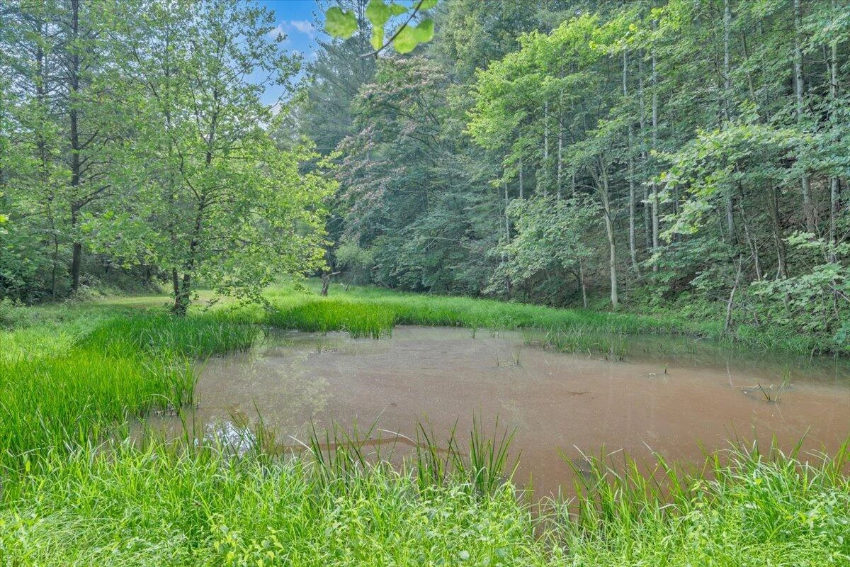 6624 Franklin RD - Photo 39