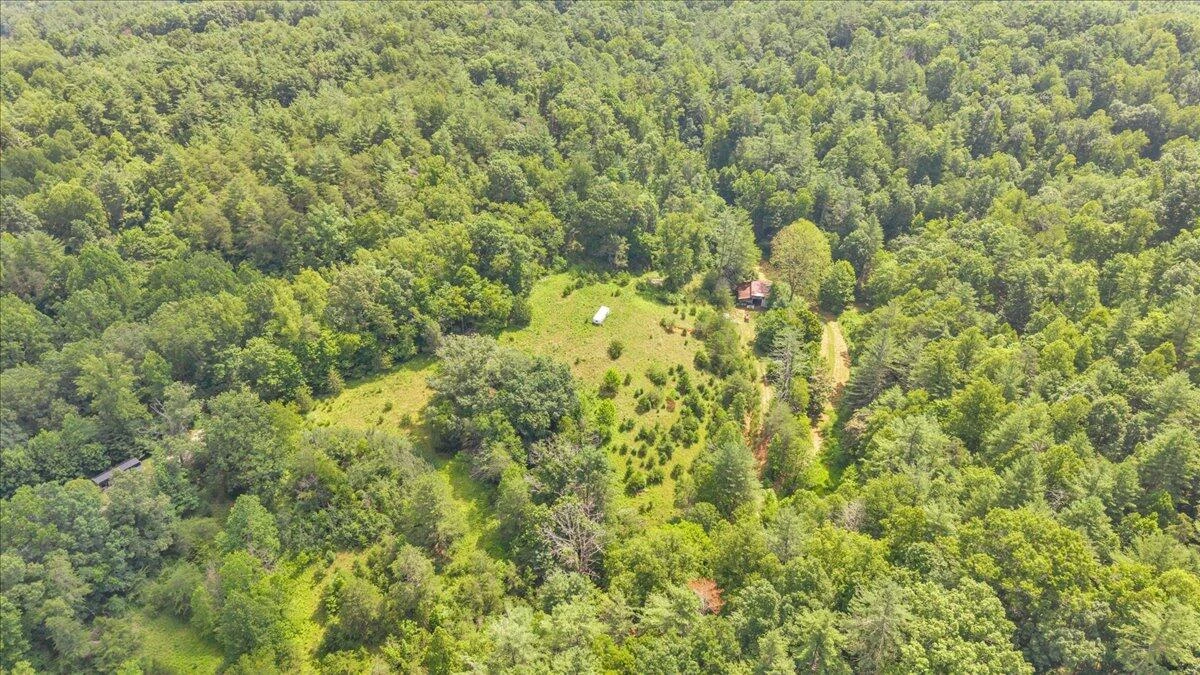 6624 Franklin RD - Photo 57