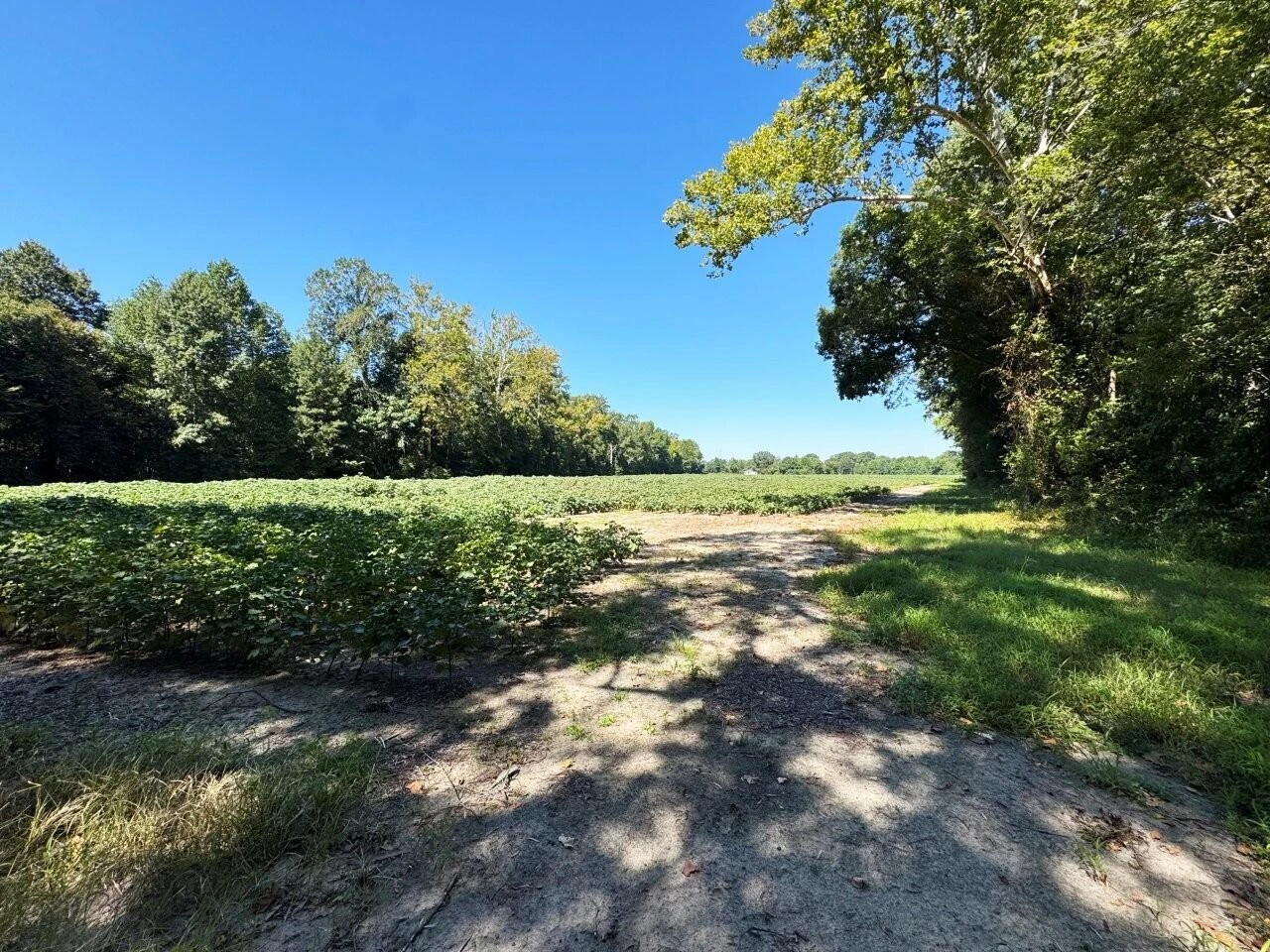 0 Delaware RD