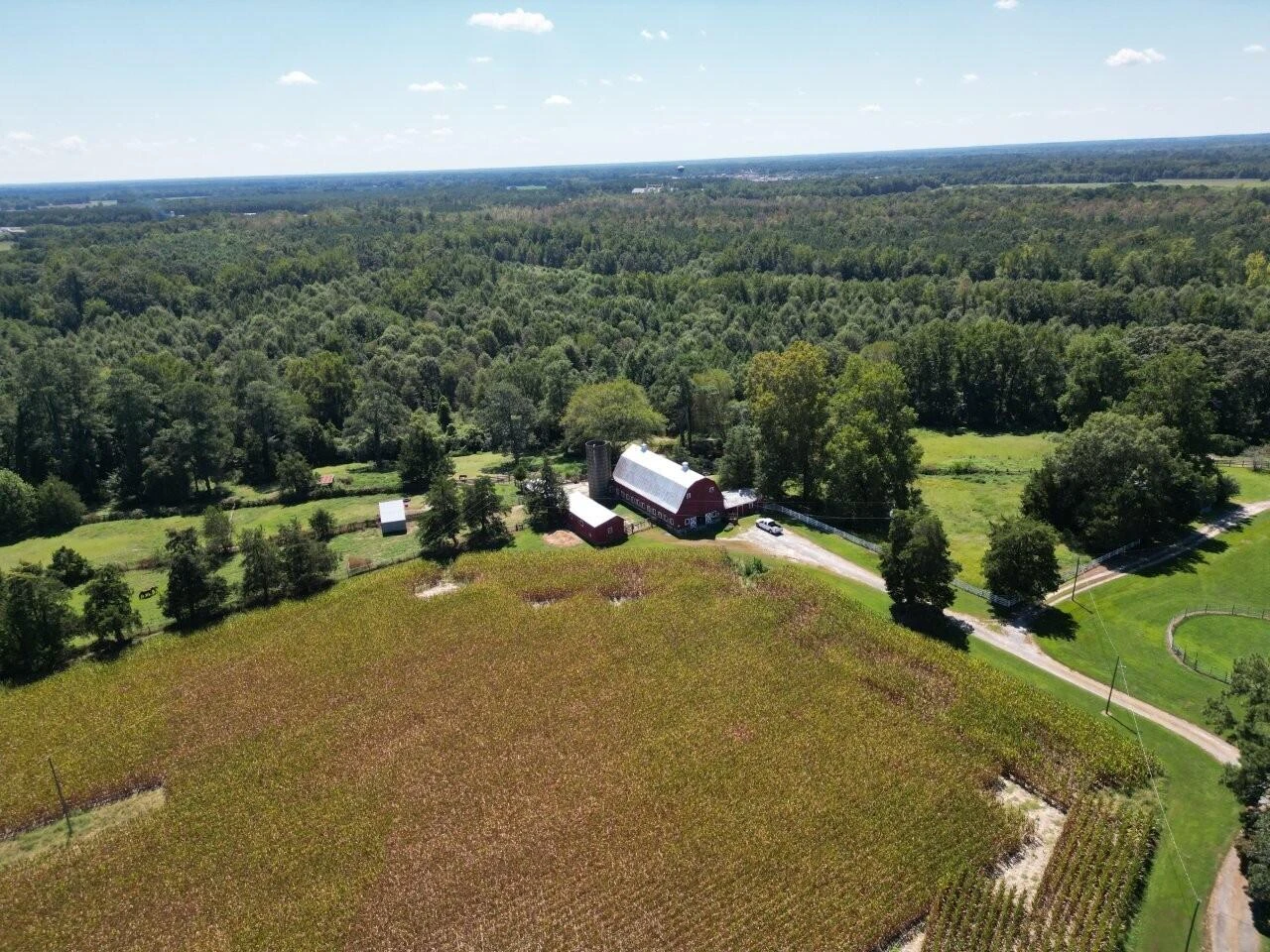 300 Rawlsdale RD - Photo 7