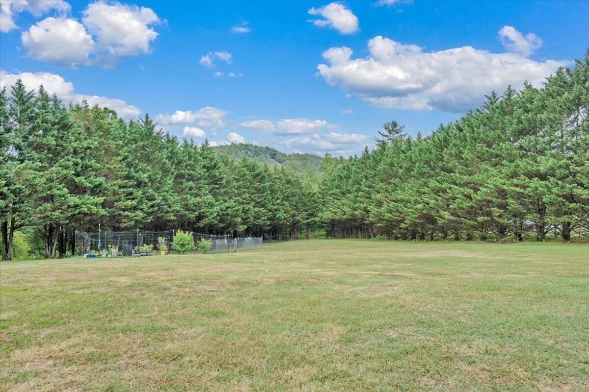 811 Ball Park RD - Photo 43