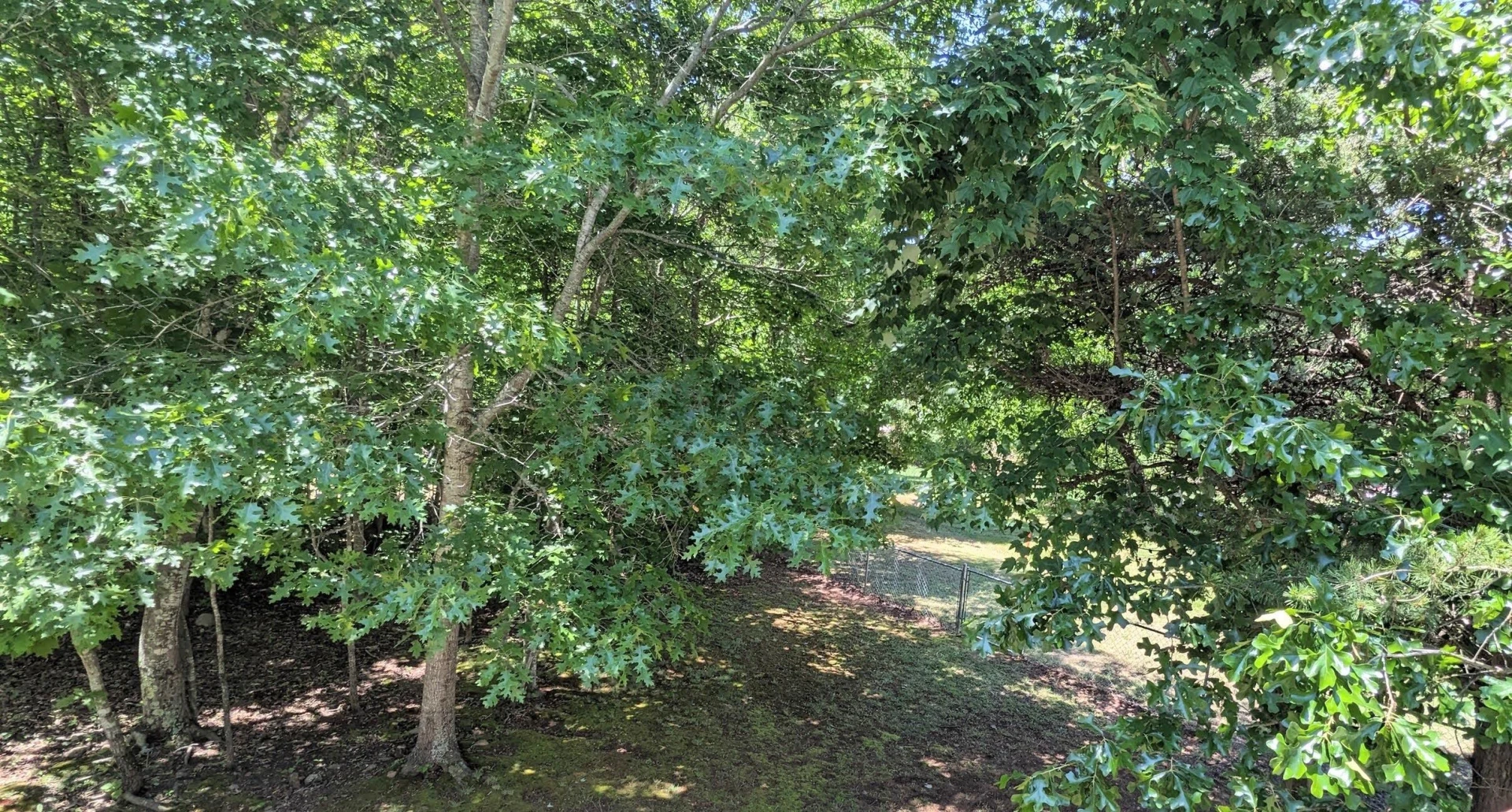 3959 Diamond Hill RD - Photo 17