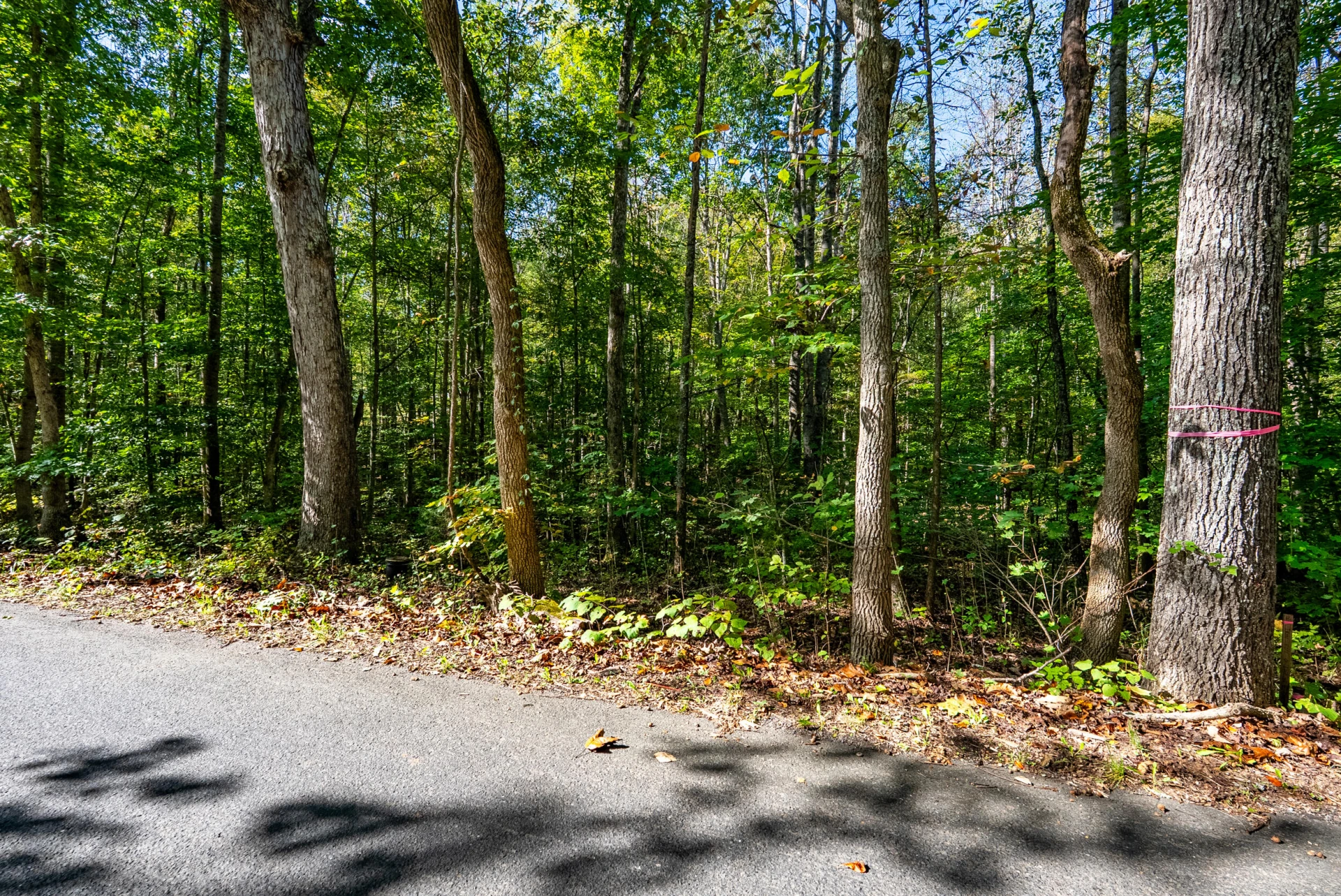 615 Stoney Run RD - Photo 23
