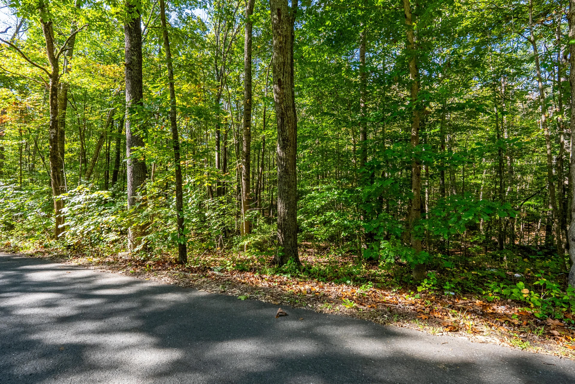 615 Stoney Run RD - Photo 24