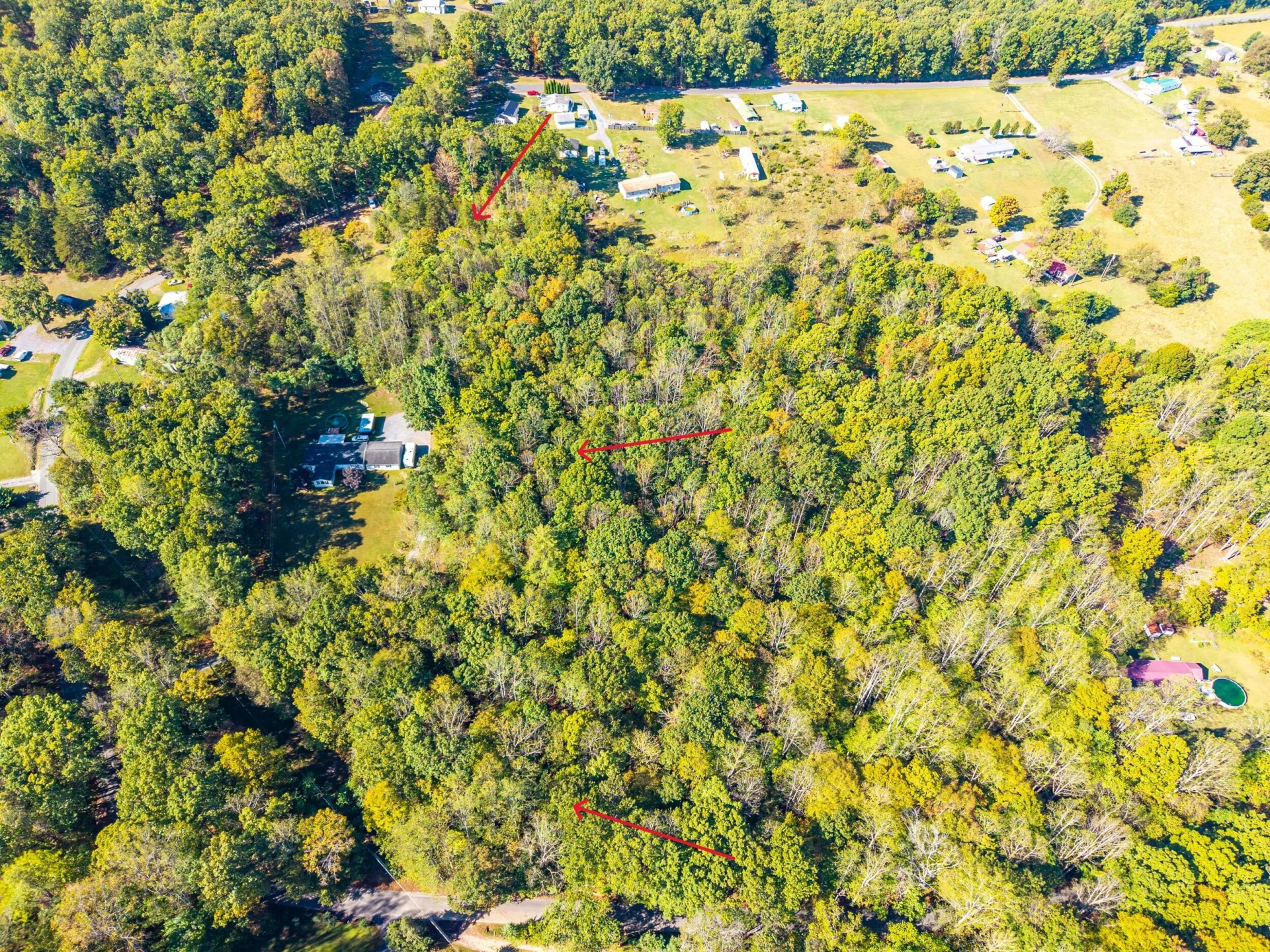 615 Stoney Run RD - Photo 5