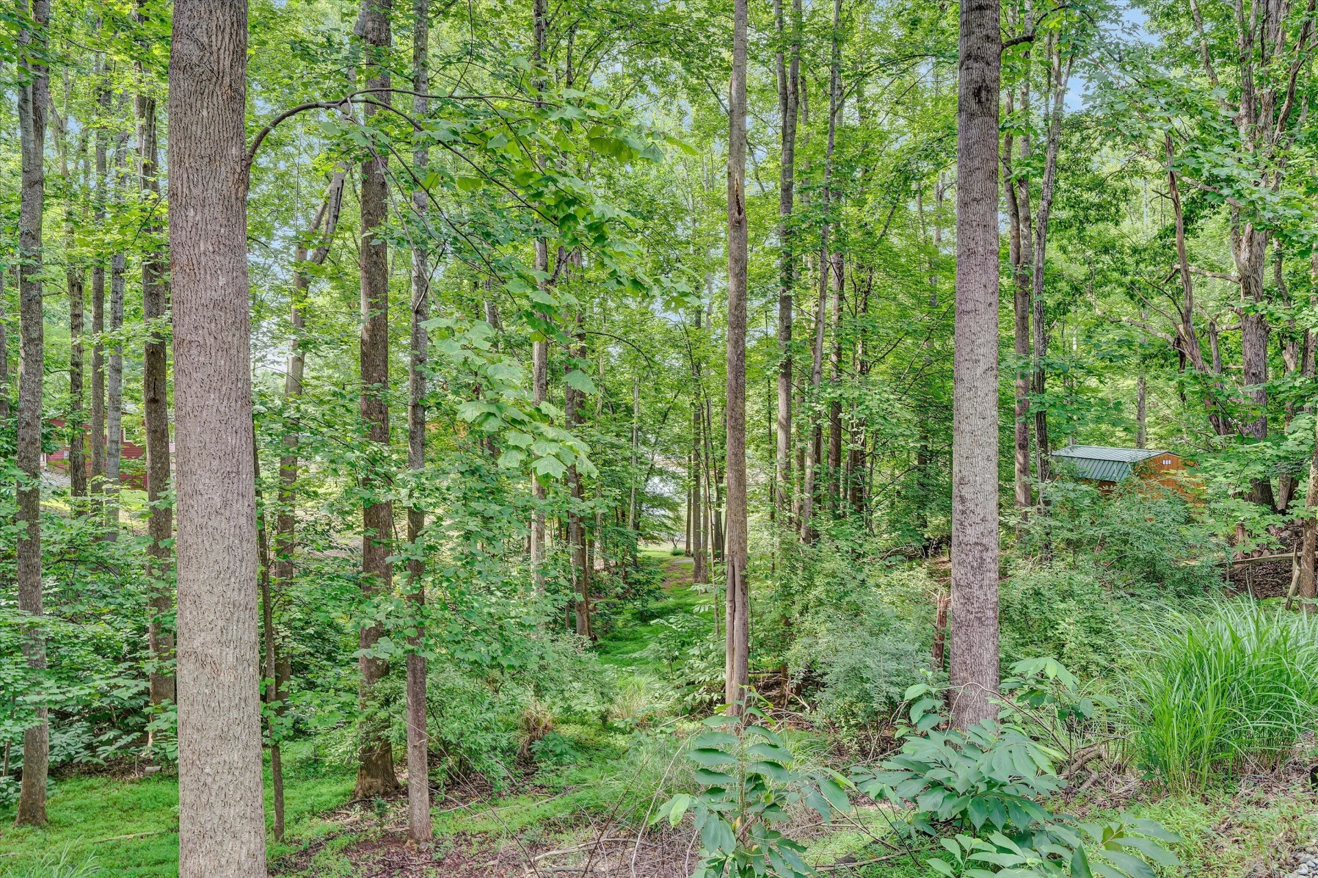 1113 Striper CT - Photo 30