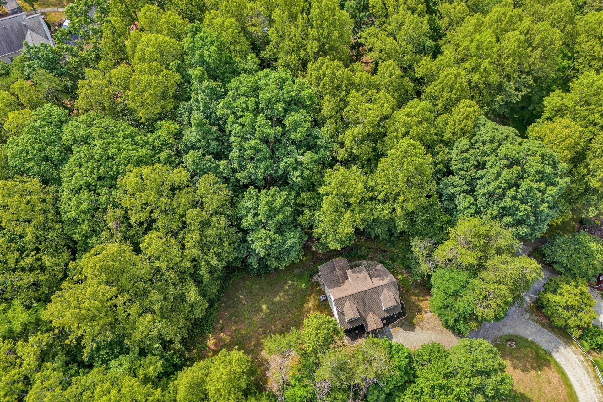 1113 Striper CT - Photo 31