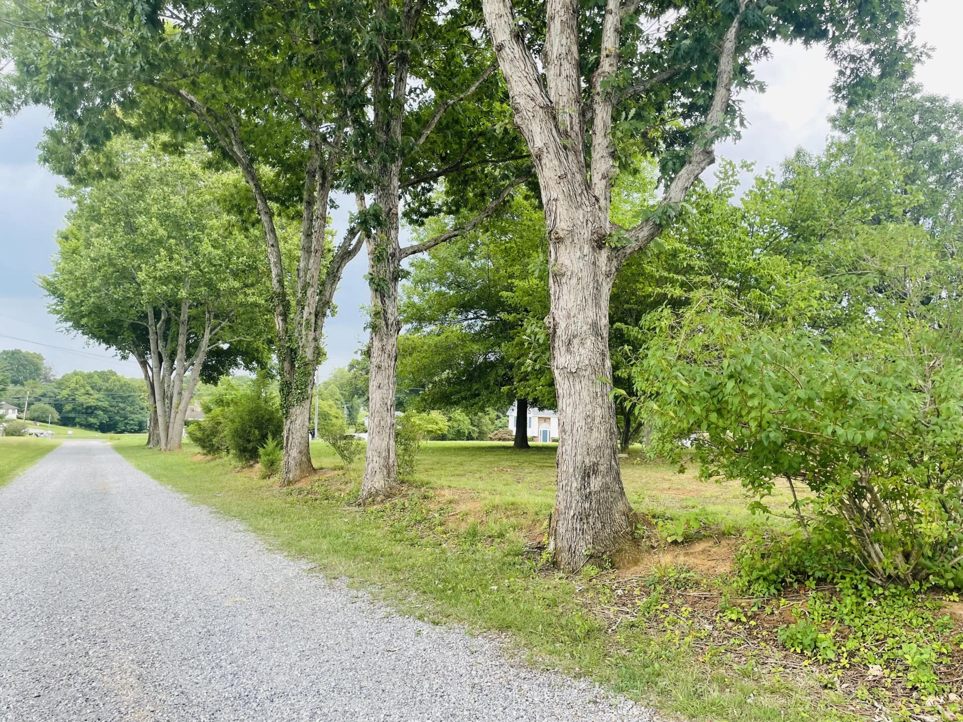 1070 Owl LN - Photo 60
