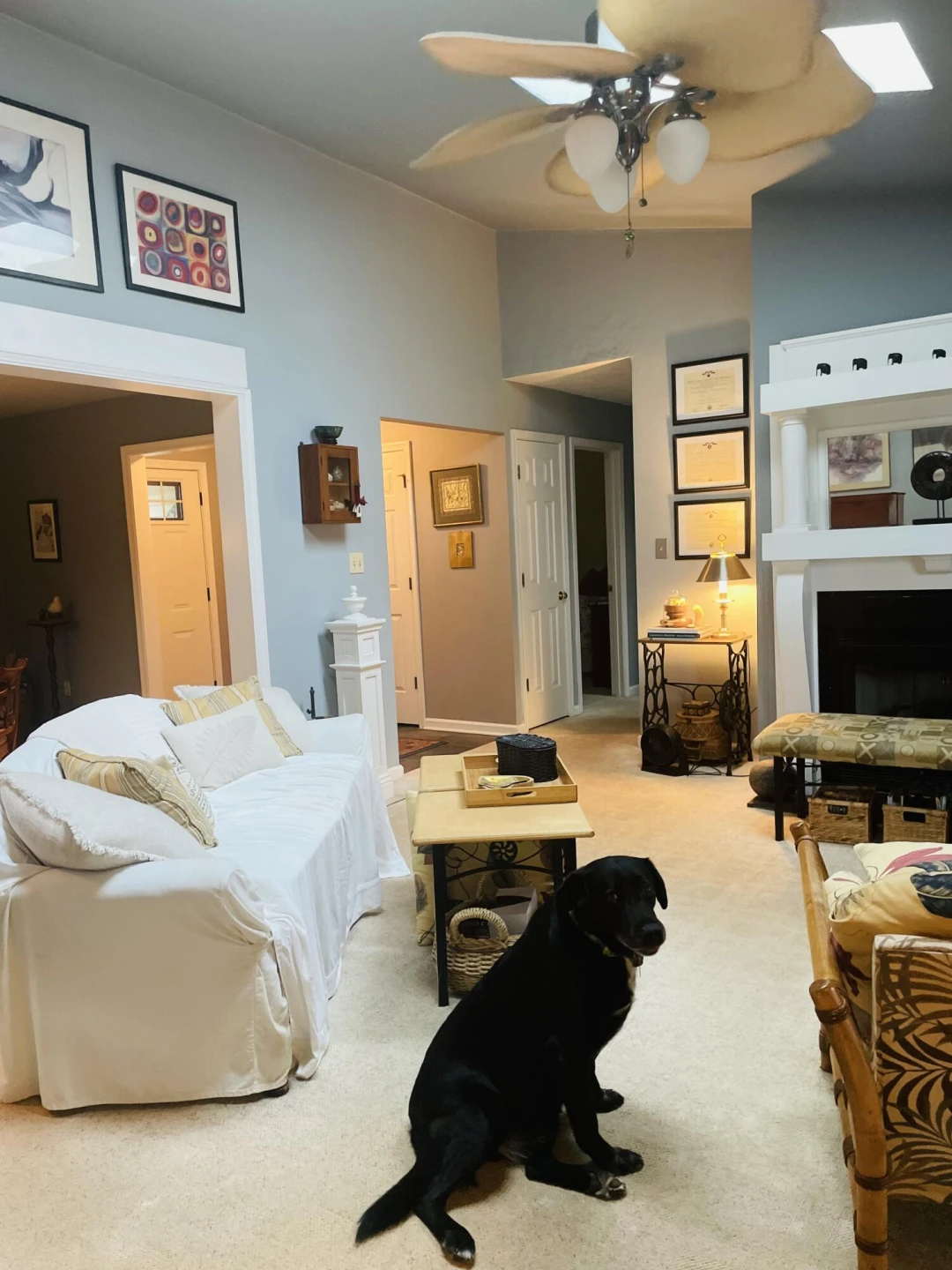 1070 Owl LN - Photo 10