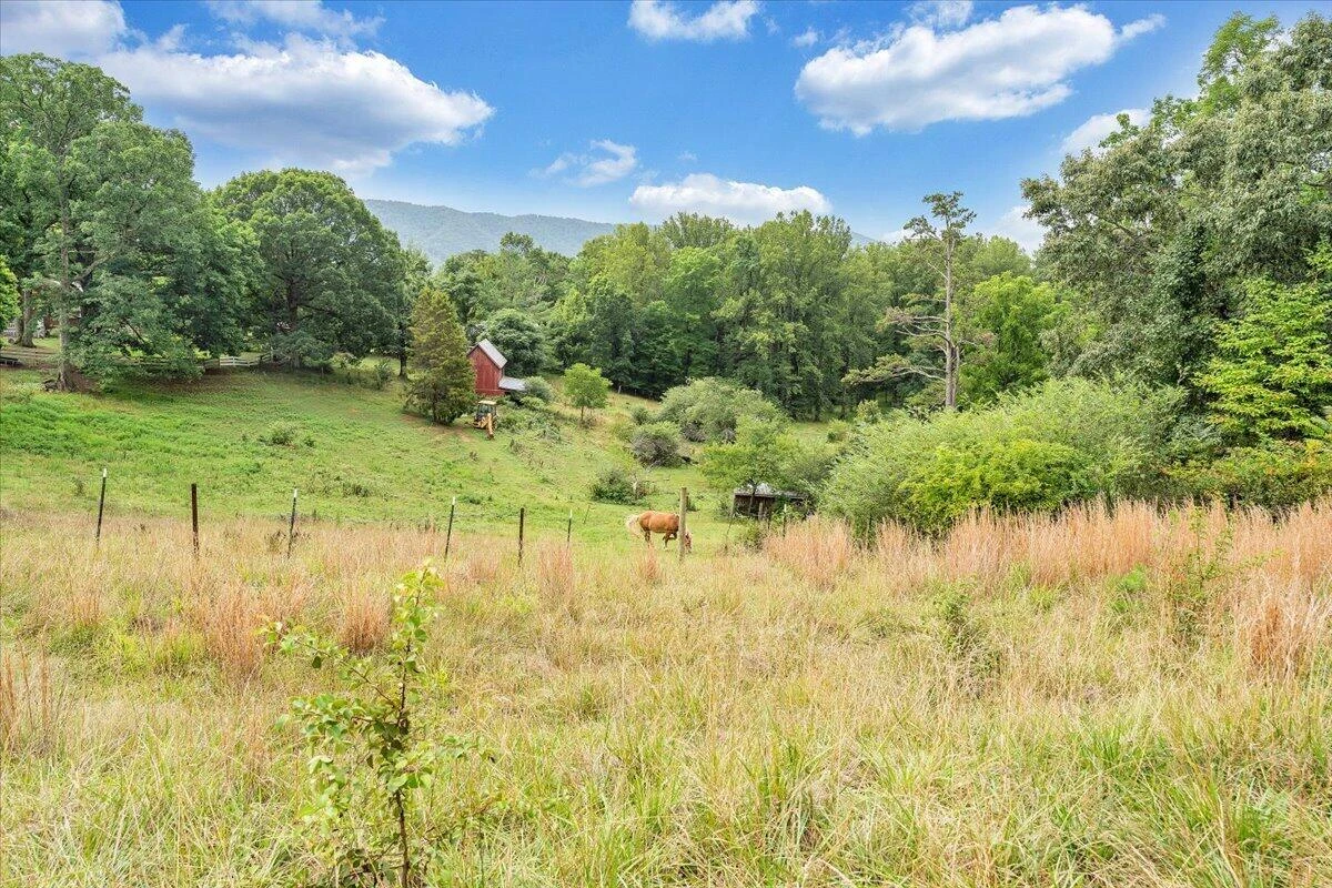 381 Morning Dove LN - Photo 3