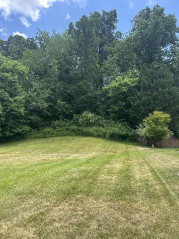 8251 Sawgrass WAY, Radford, VA, 24141