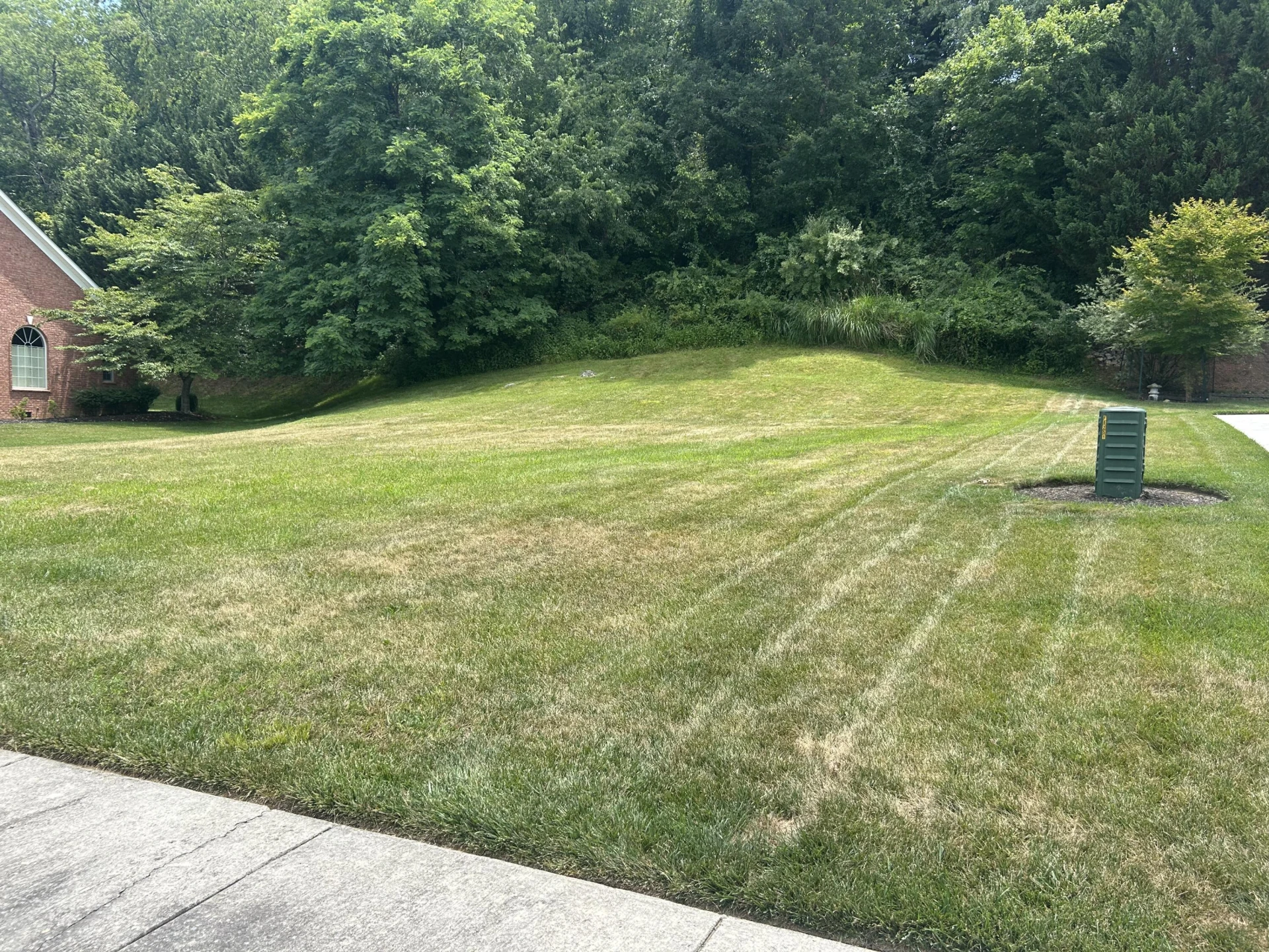 8251 Sawgrass WAY - Photo 2