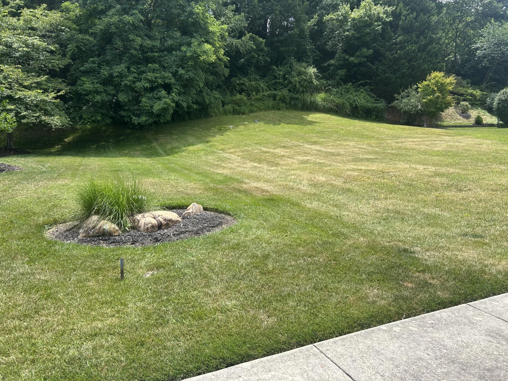 8251 Sawgrass WAY - Photo 3