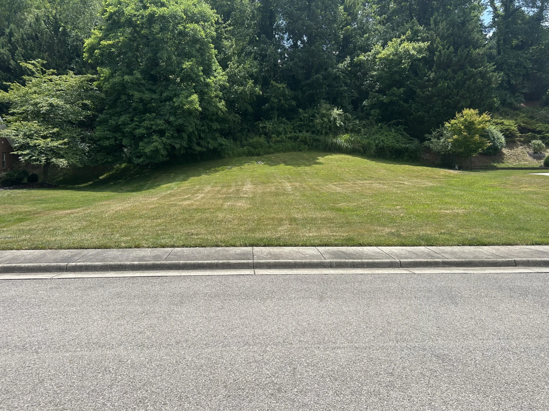 8251 Sawgrass WAY - Photo 4