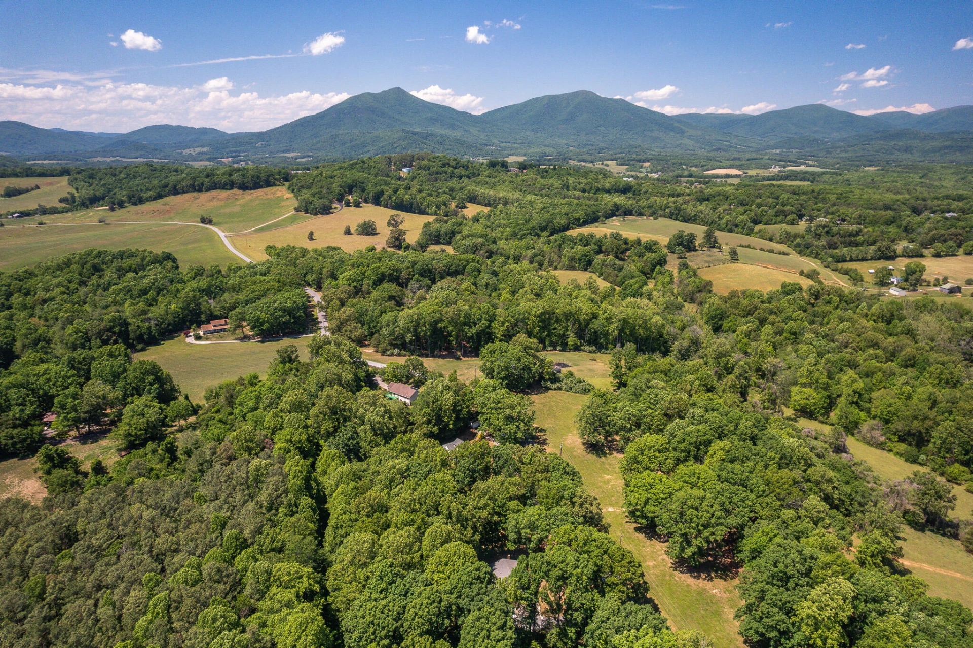 1778 Parker RD - Photo 44
