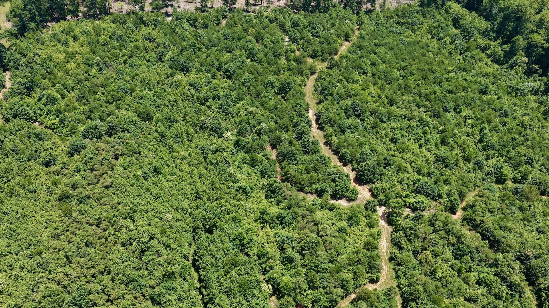 2754 Horseshoe Bend RD - Photo 37