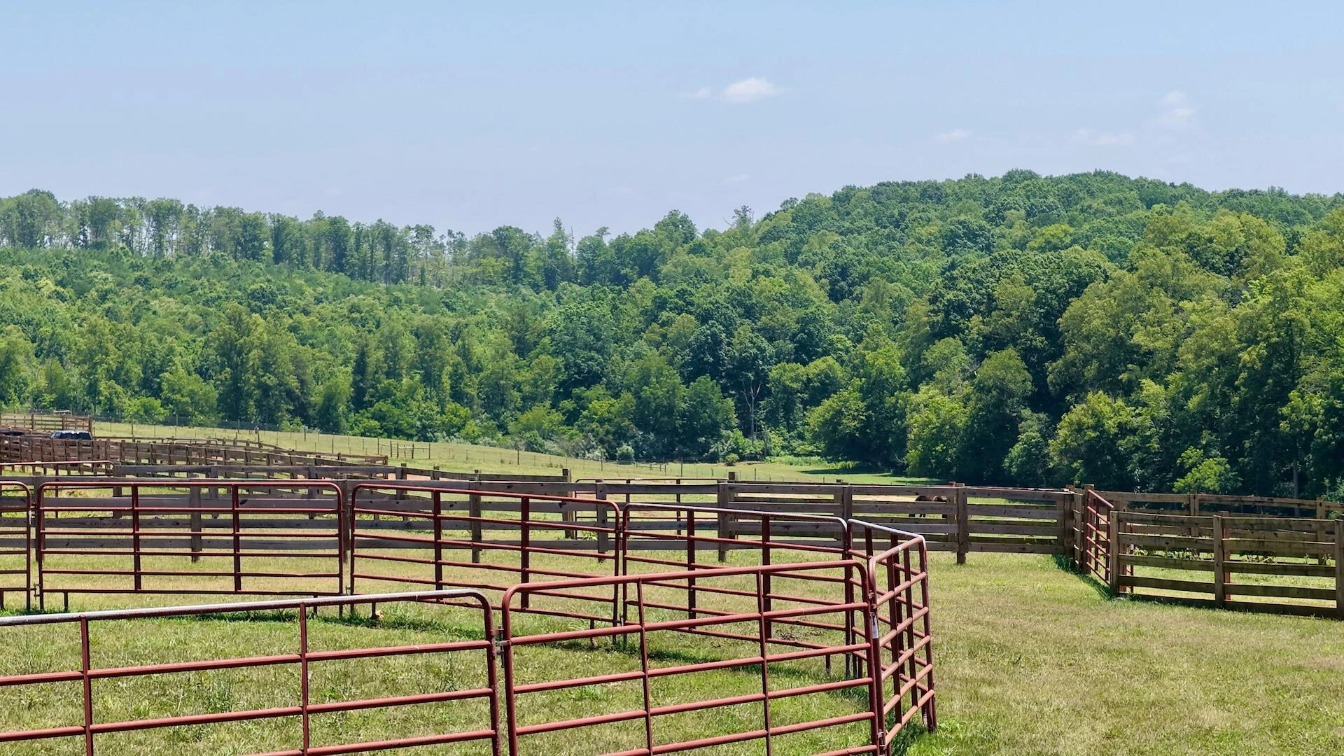 2754 Horseshoe Bend RD - Photo 9