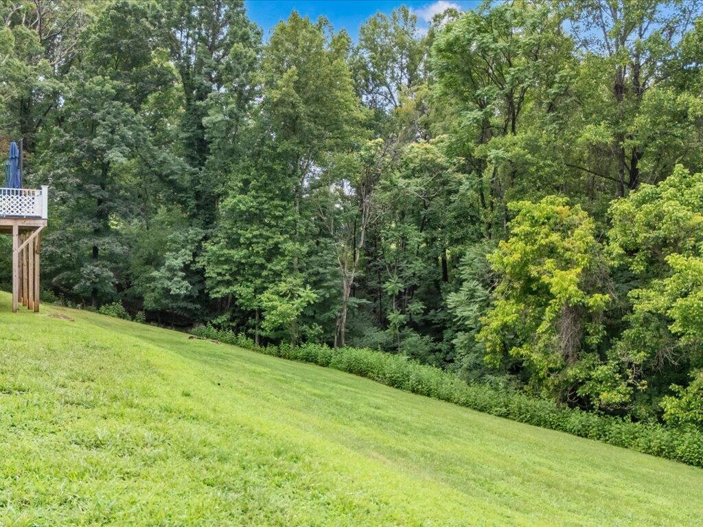 21 Thomas RD - Photo 42