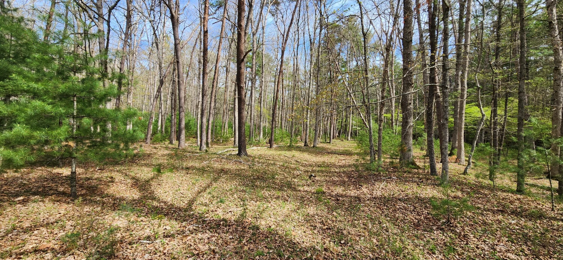 162 Tims Draft LN - Photo 6