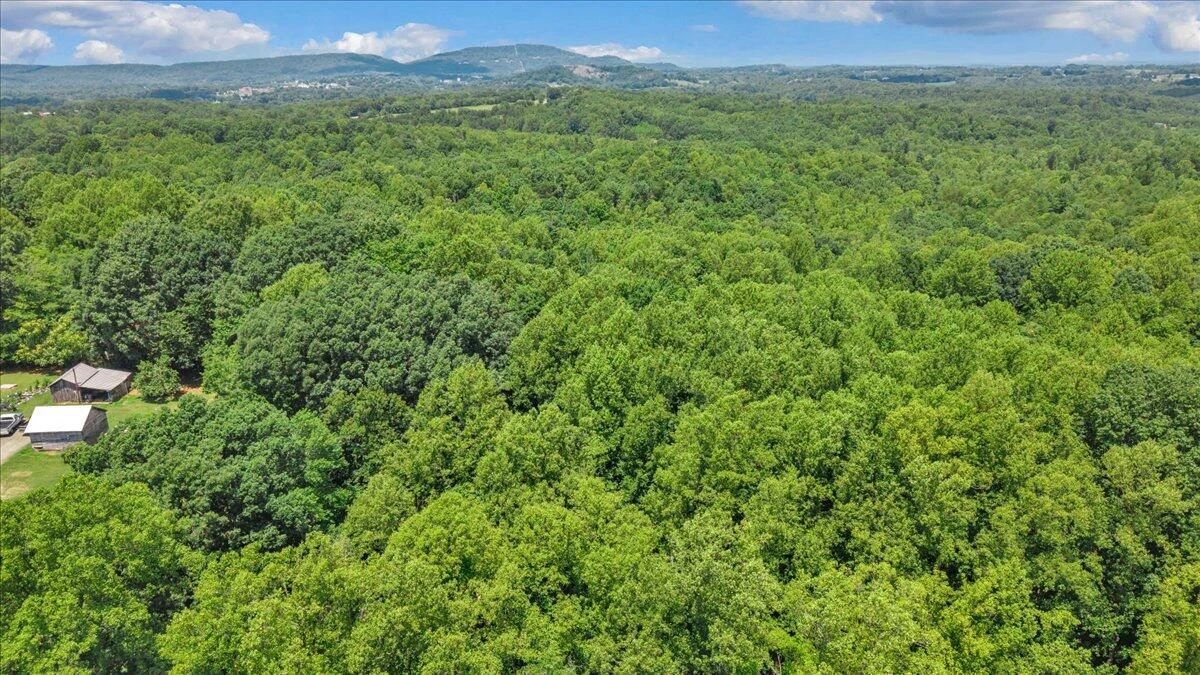 585 Doe Run RD - Photo 13