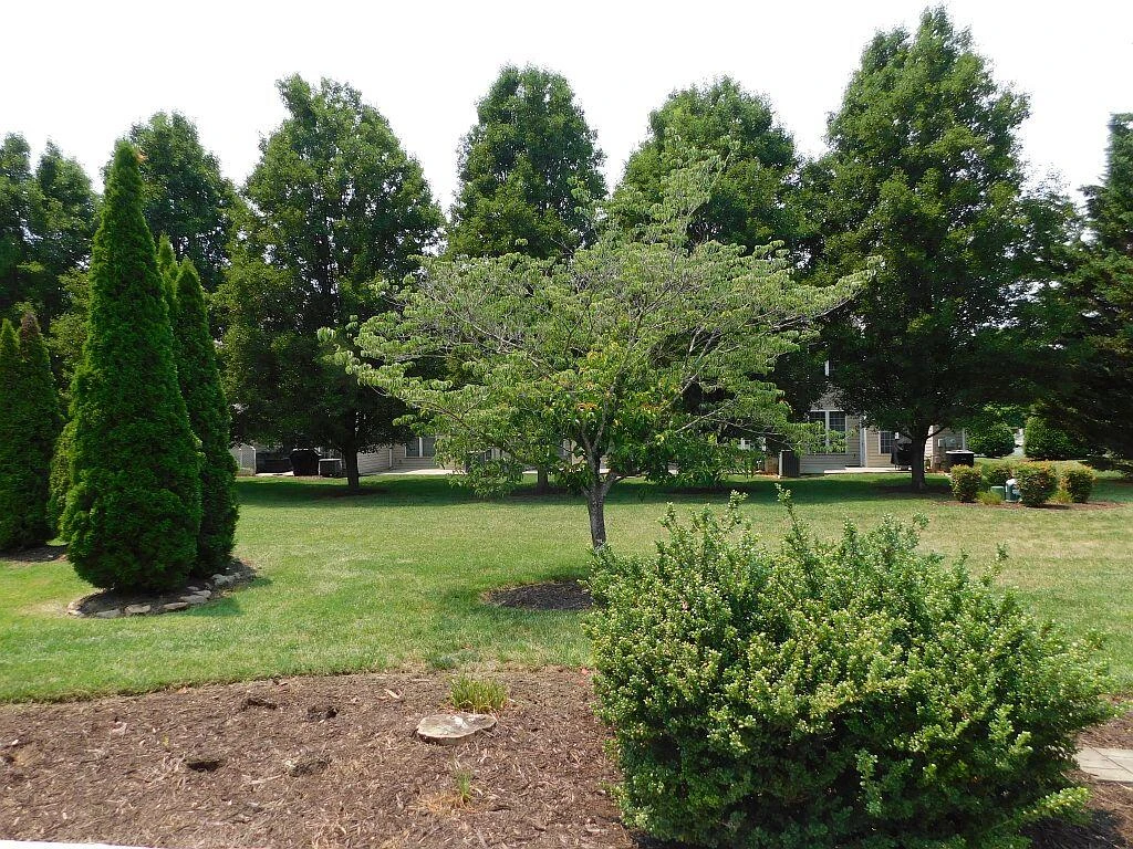 8629 South Bend DR - Photo 23