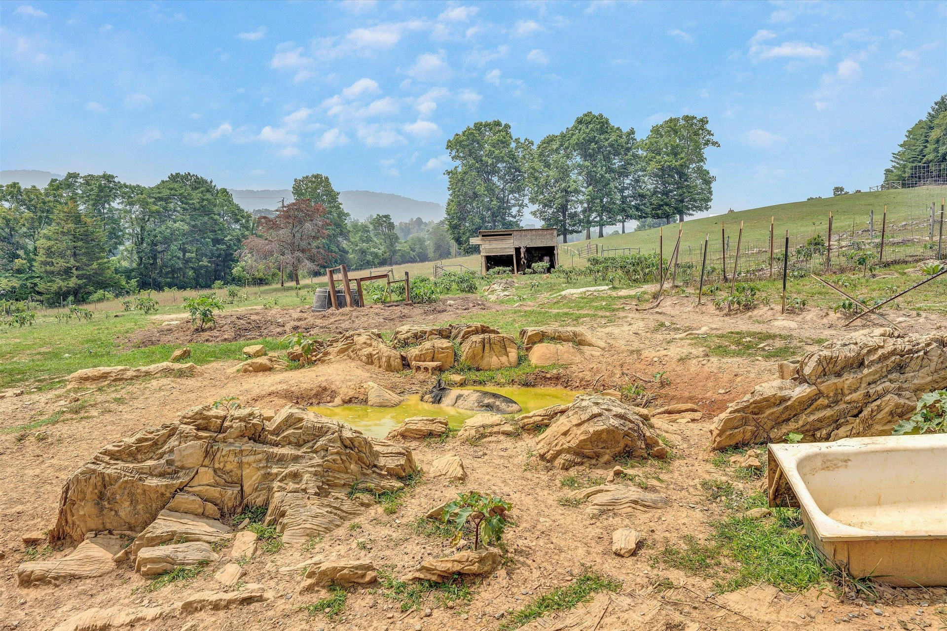 3626 Old Fincastle RD - Photo 43