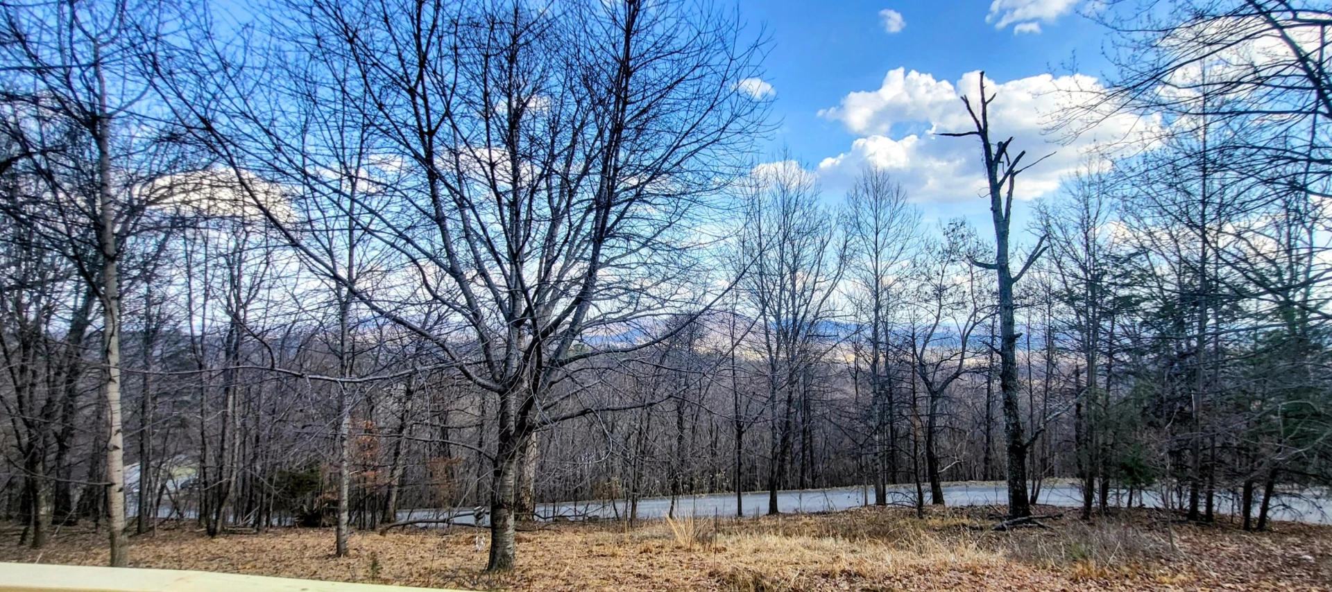 8444 Jeters Chapel RD - Photo 41